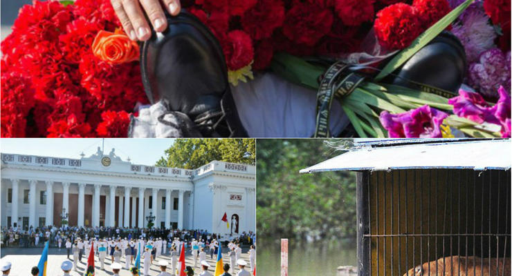 День в фото: Прощание с солдатами, День Одессы и зоопарк в воде