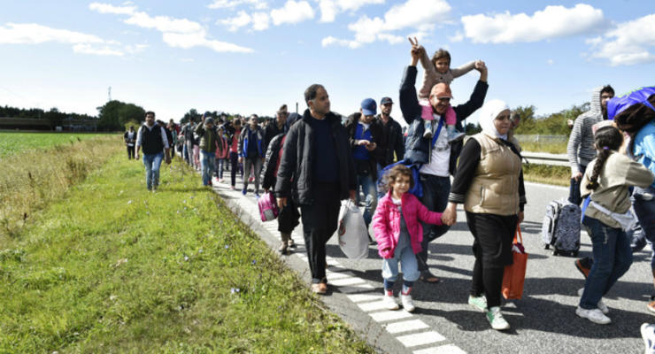 Дания депортировала прибывших из Германии сирийских мигрантов