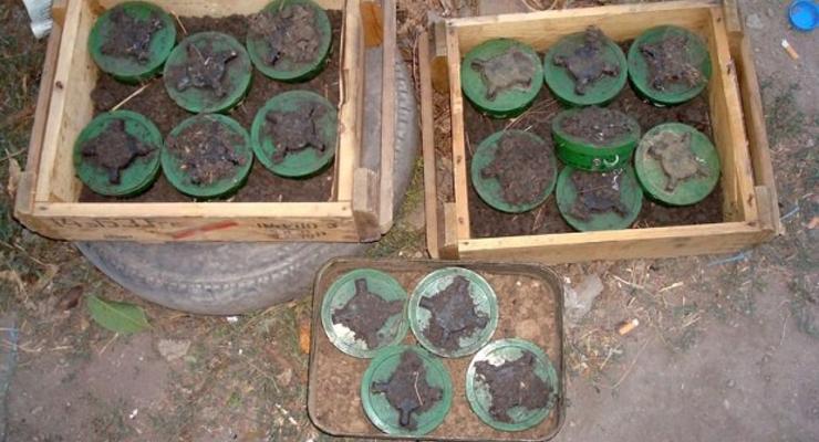 Военные под Мариуполем предотвратили теракт и нашли минное поле