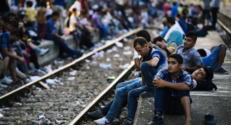 Пограничники задержали в Закарпатской области пятерых мигрантов из Сирии