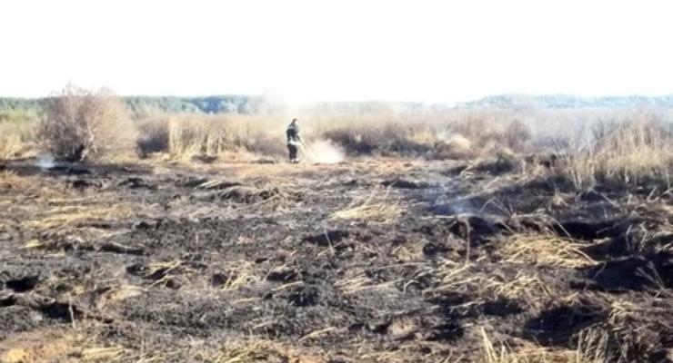 Под Киевом снова горят торфяники