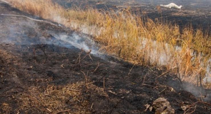 Вокруг Киева продолжают тушить 107 гектаров торфяников