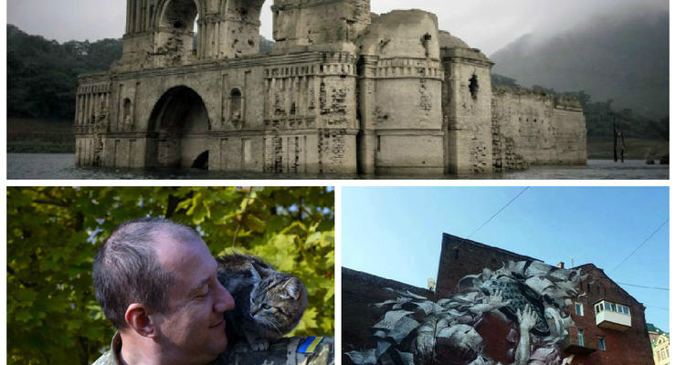 Фото недели: коты на фронте, муралы в Киеве и храм в Мексике