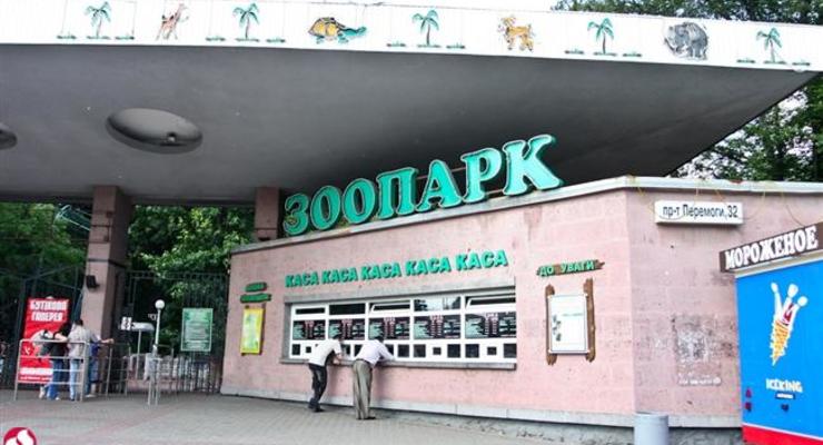 В Киеве обокрали кассу зоопарка