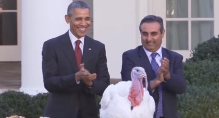 Обама "помиловал" двух индеек в канун Дня Благодарения