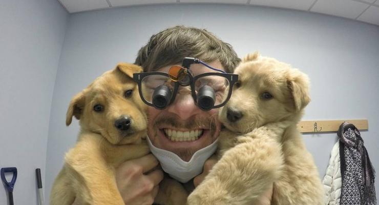 Стоматолог с Аляски и его милые собаки стали звездами Сети