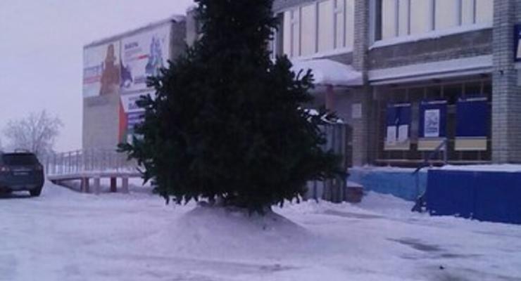 В России в центре города поставили фаллическую елку