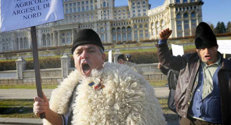 Овцеводы ворвались в румынский парламент, требуя отмены ограничений количества пастушьих собак