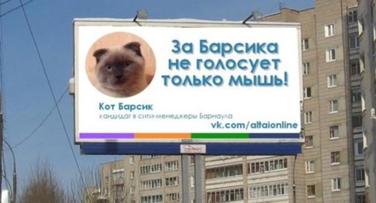 Жители российского Барнаула "выбрали" кота Барсика мэром города