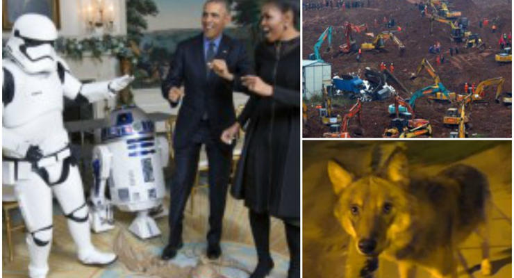 День в фото: "Звездные войны" в Белом доме, оползень в Китае и волчица в Алуште