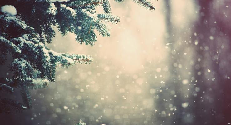 Погода на неделю: Украина встретит Новый год со снегом и морозом