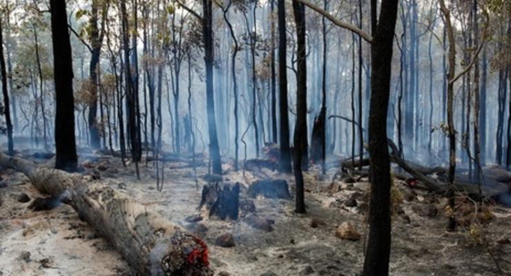 В Австралии из-за лесных пожаров полностью сгорел город