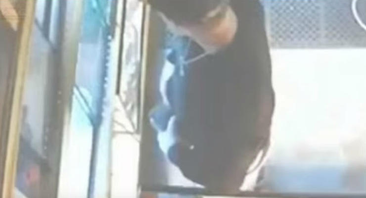 Питон в штанах: в США мужчина попытался украсть змею из магазина