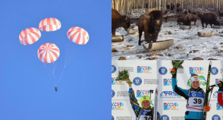 Хорошие новости: обед канадских бизонов, космические парашюты и серебро украинской биатлонистки