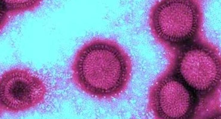 Госсанэпидслужба: В Киеве с начала эпидсезона от гриппа умер 41 человек