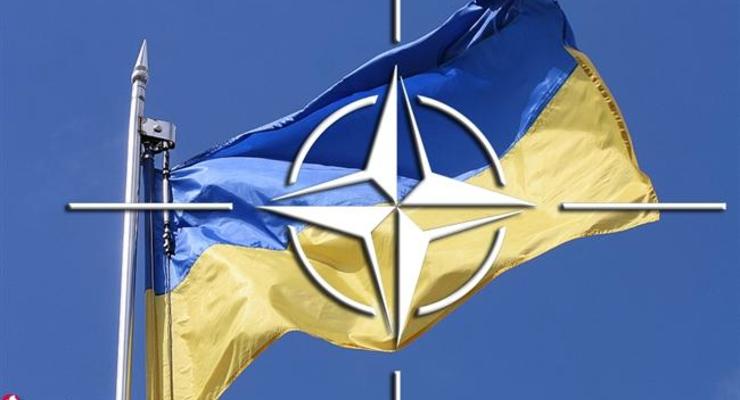 Украина и НАТО до мая разработают госпрограмму реформирования ВСУ