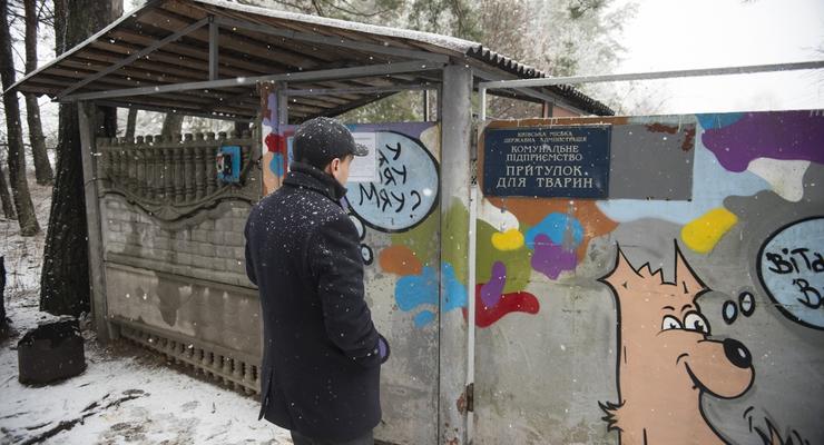 В бородянском приюте для животных установили камеры наблюдения