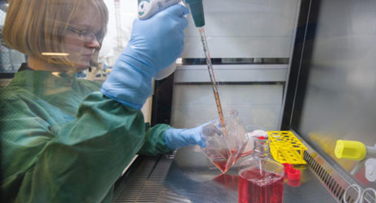 ВОЗ планирует провести крупномасштабные испытания вакцин против вируса Зика через полтора года