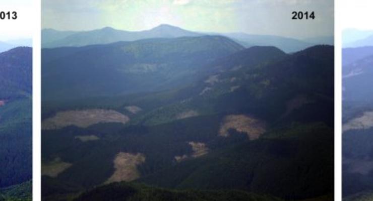 Неузнаваемые Карпаты: в сети появились фото облысевших гор