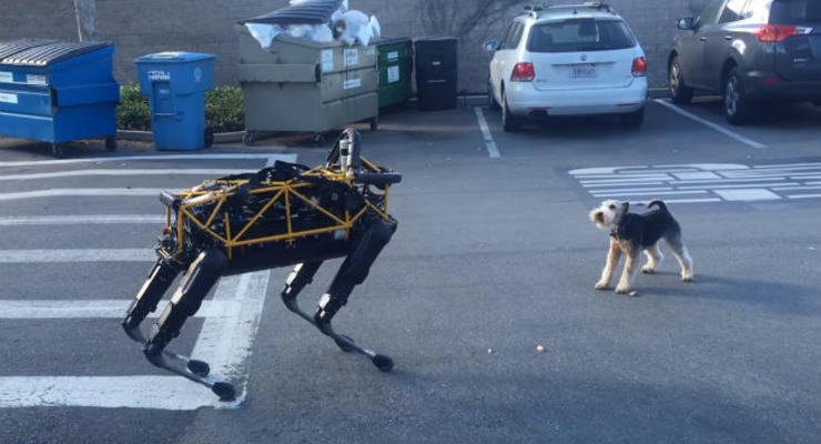 В сети показали реакцию собаки на четырехлапого робота
