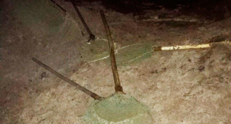 На Житомирщине задержали троих киевлян за незаконную добычу янтаря