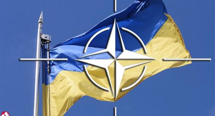 Среди украинцев снизился процент приверженцев идеи вступления в НАТО - опрос