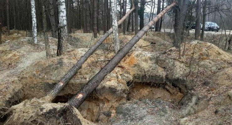 Опубликованы фото последствий добычи янтаря в Ровенской области