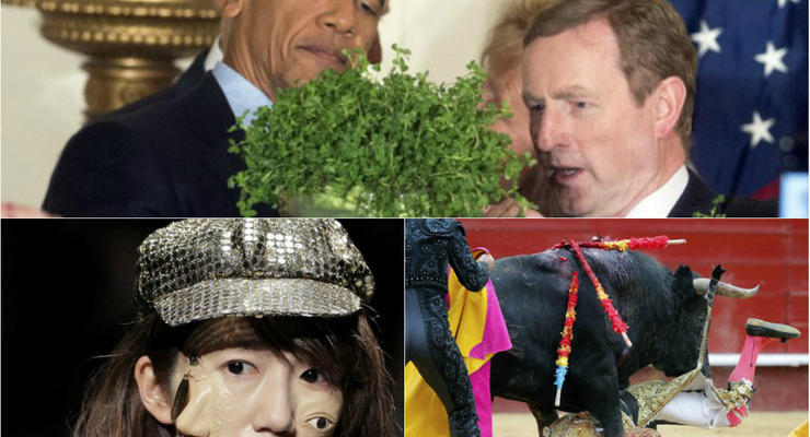 День в фото: Обама с растением, многолицая модель и злой бык