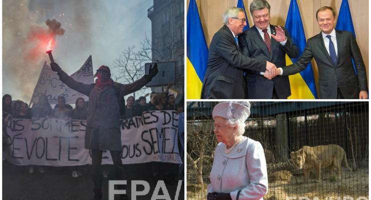 День в фото: Порошенко в Брюсселе, протесты во Франции и королева в зоопарке