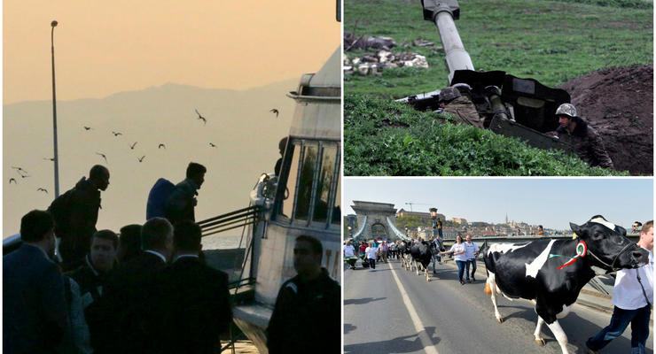 День в фото: столкновения в Карабахе, мигранты в Греции и коровы в Будапеште