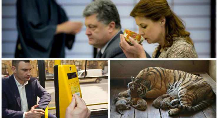 День в фото: Порошенко в Японии, тигрята в Китае и Кличко в автобусе