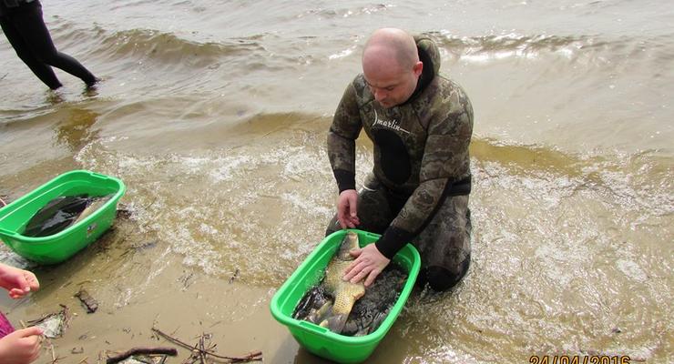 В столице в Днепр выпустили 2,5 тонны рыбы