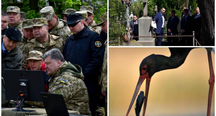День в фото: Порошенко в военной части, Кличко на кладбище и черный аист на рыбалке