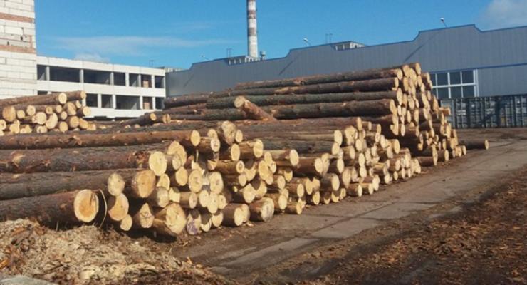 СБУ на Одесщине предотвратила незаконный экспорт древесины в Азию