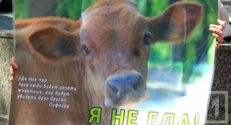 "Я не еда": В Одессе прошел марш против мясоедения