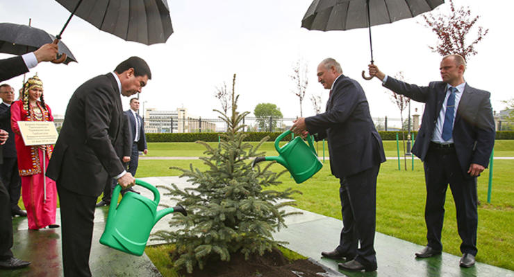 Лей не жалей: как президент Беларуси елку в дождь поливал