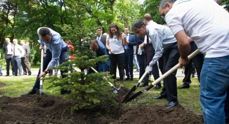 Кличко вместе c послом Израиля  высадил деревья в Мариинском парке
