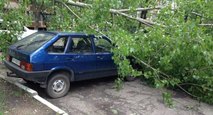 В Киеве дерево рухнуло на припаркованные автомобили