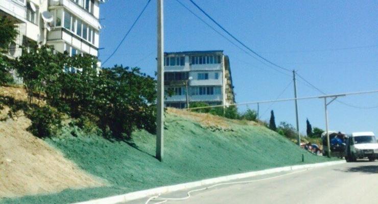 В Севастополе к приезду Медведева покрасили землю в зеленый цвет