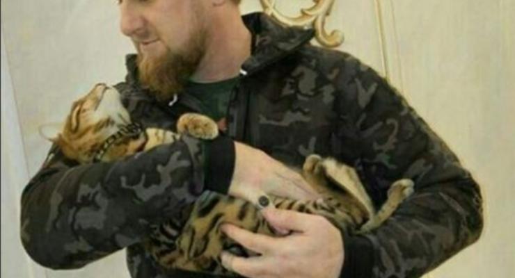 Помоги найти кота: В американском шоу высмеяли Кадырова