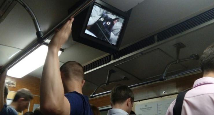 Хакеры разместили котов на мониторах киевского метро
