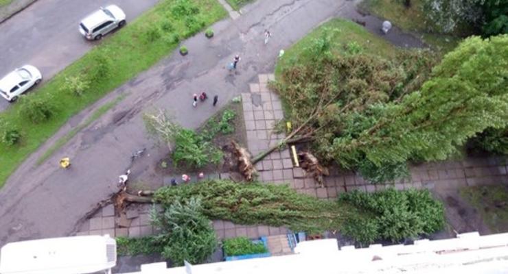 Ураганный ветер на улицах Харькова вырывал с корнями деревья