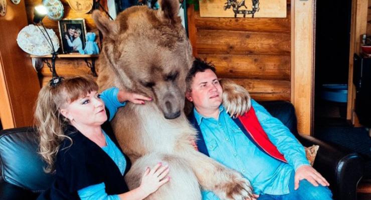 Нестандартная семья: супружеская пара из России "усыновила" медведя