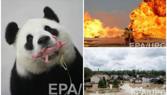 День в фото: Панда с детенышем, пожар в Ираке и наводнение в Германии