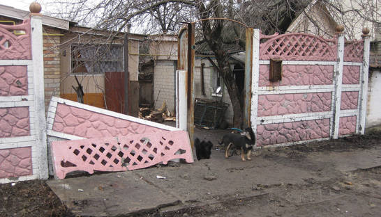 В ООН назвали количество погибших и пострадавших на Донбассе