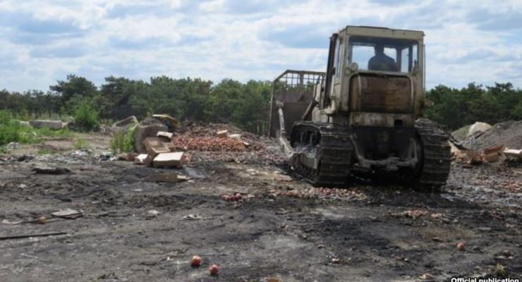 Оккупанты уничтожили 15 тонн санкционных фруктов в Крыму