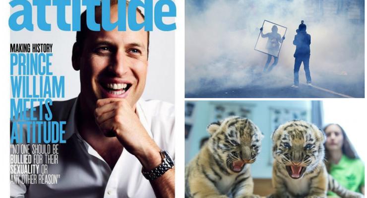 День в фото: Принц на обложке гей-журнала, протесты в Париже и тигрята на медосмотре