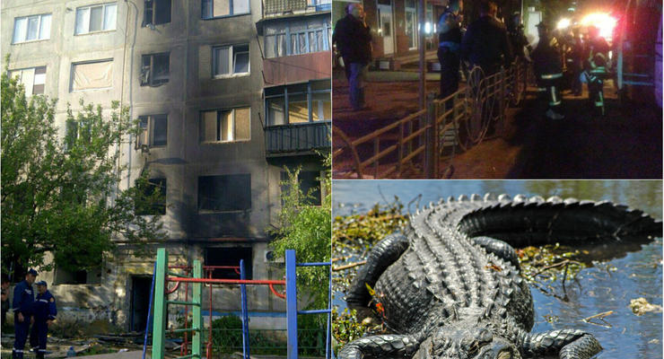 Итоги 15 июня: Ночной пожар в центре Киева, нападение аллигатора и обстрел Красногоровки