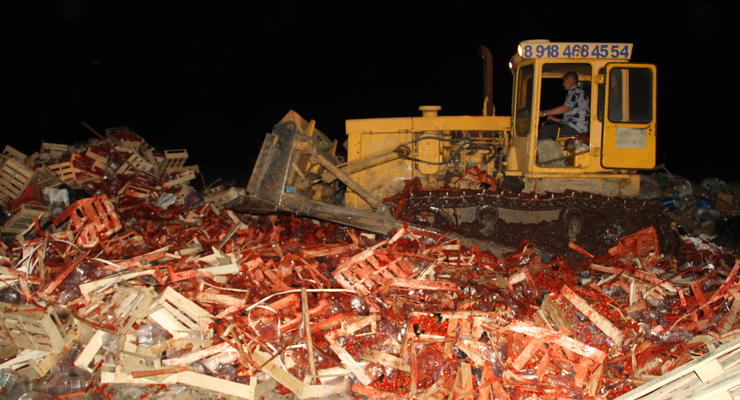 В РФ уничтожили 38 тонн украинской клубники