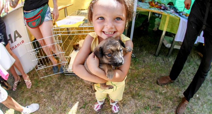 Лига барбосов: В Киеве прошла выставка беспородных собак